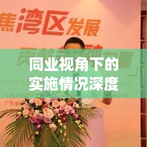 同业视角下的实施情况深度剖析