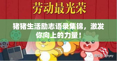 猪猪生活励志语录集锦，激发你向上的力量！