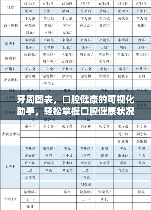 牙周图表，口腔健康的可视化助手，轻松掌握口腔健康状况