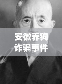 安徽养狗诈骗事件内幕揭秘，最新动态与进展