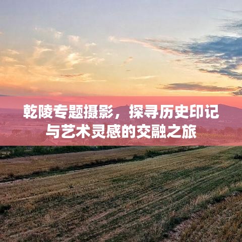 乾陵专题摄影，探寻历史印记与艺术灵感的交融之旅