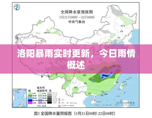 洛阳暴雨实时更新，今日雨情概述