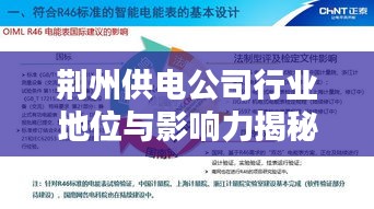 荆州供电公司行业地位与影响力揭秘，排名及影响力不容小觑