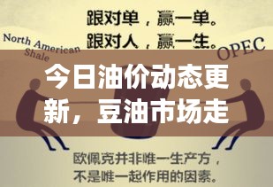 今日油价动态更新，豆油市场走势分析与行情速递