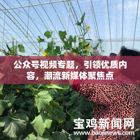 公众号视频专题，引领优质内容，潮流新媒体聚焦点
