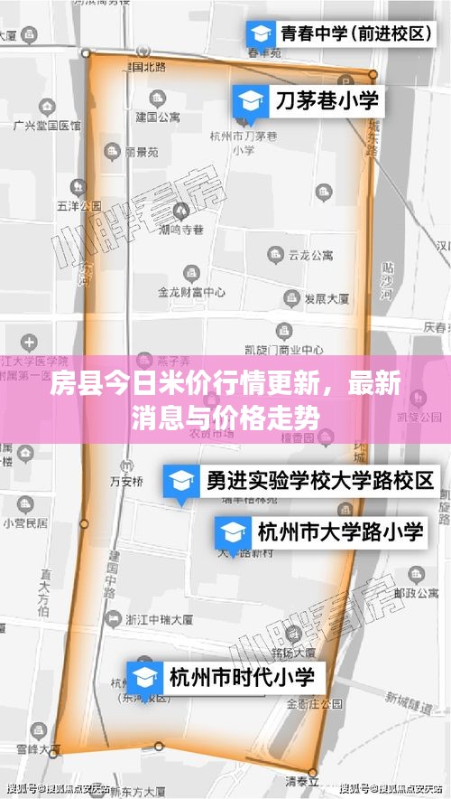 房县今日米价行情更新，最新消息与价格走势