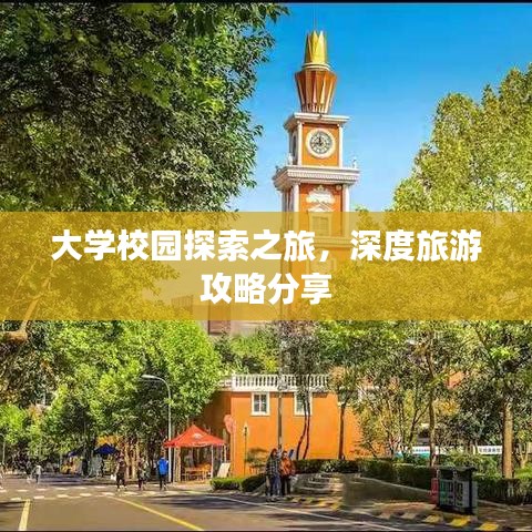 大学校园探索之旅，深度旅游攻略分享