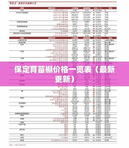文质彬彬