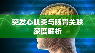 目不转睛
