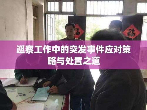 巡察工作中的突发事件应对策略与处置之道