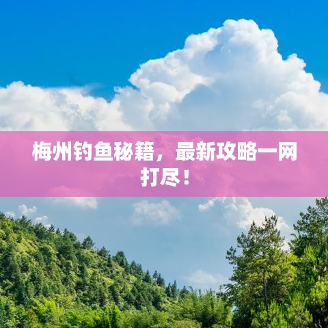 梅州钓鱼秘籍，最新攻略一网打尽！