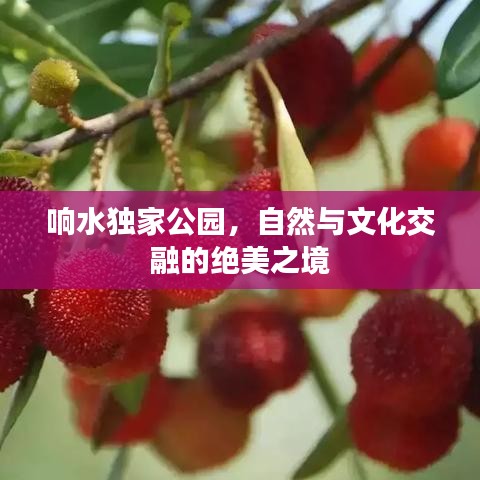 响水独家公园，自然与文化交融的绝美之境