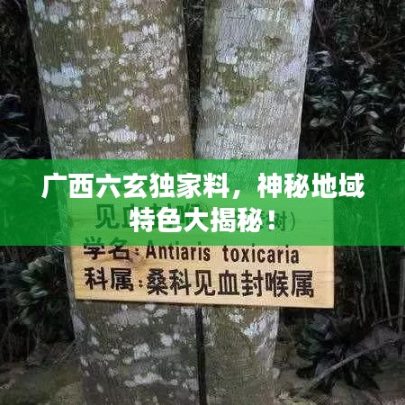 关于我们 第25页
