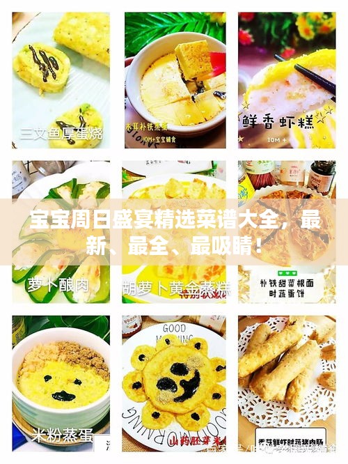 营销网络 第23页
