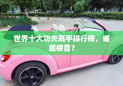 世界十大功夫高手排行榜，谁居榜首？
