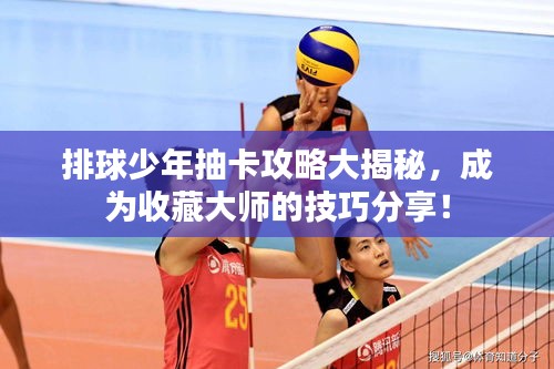 不求甚解