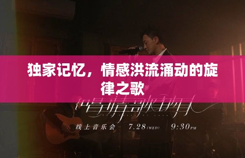 独家记忆，情感洪流涌动的旋律之歌