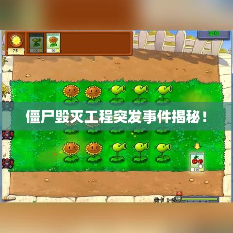 百不一遇