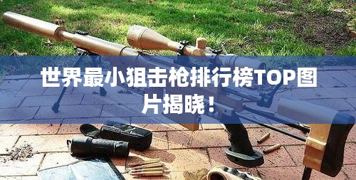 世界最小狙击枪排行榜TOP图片揭晓！
