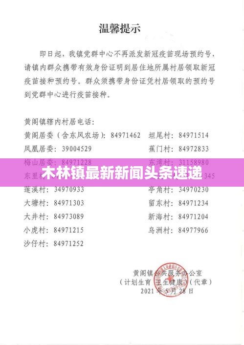 还淳反朴