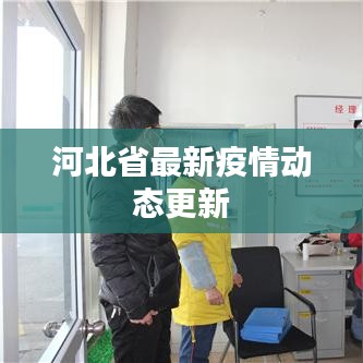 河北省最新疫情动态更新