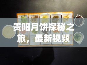 贵阳月饼探秘之旅，最新视频带你领略月饼魅力