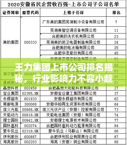 王力集团上市公司排名揭秘，行业影响力不容小觑