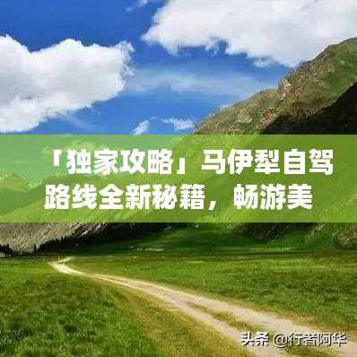 飞鸟惊蛇