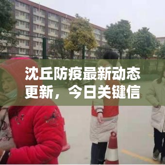 沈丘防疫最新动态更新，今日关键信息一网打尽