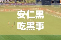 安仁黑吃黑事件揭秘，最新头条新闻动态