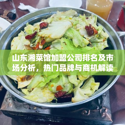 山东湘菜馆加盟公司排名及市场分析，热门品牌与商机解读