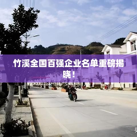 竹溪全国百强企业名单重磅揭晓！