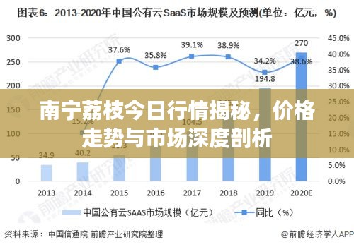 南宁荔枝今日行情揭秘，价格走势与市场深度剖析