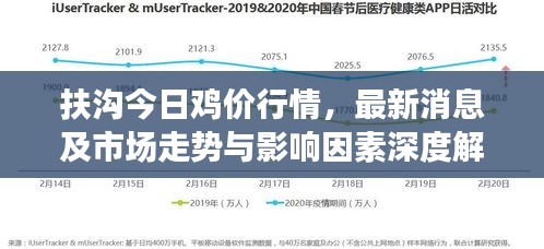 扶沟今日鸡价行情，最新消息及市场走势与影响因素深度解析