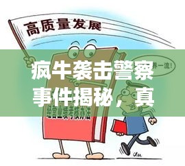 疯牛袭击警察事件揭秘，真相与应对策略