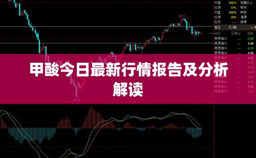 甲酸今日最新行情报告及分析解读