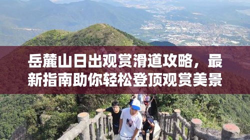 劳燕分飞